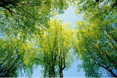 《赛博朋克2077》新AI过于强大 上世代主机无法享受